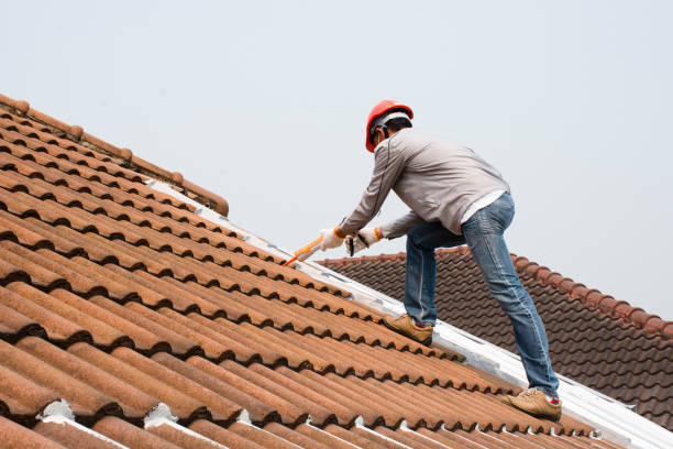 Best Roof Moss and Algae Removal  in Oronogo, MO